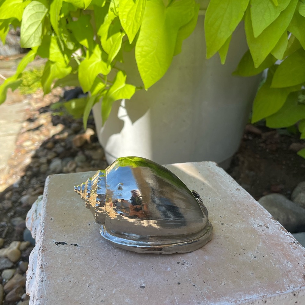 Maitland Smith Scotch Bonnet Shell. Silver in color.